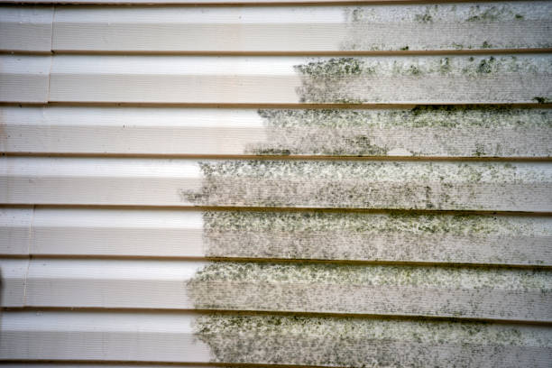 Best Stucco Siding  in Clanton, AL