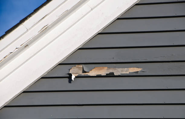 Best Insulated Siding Installation  in Clanton, AL